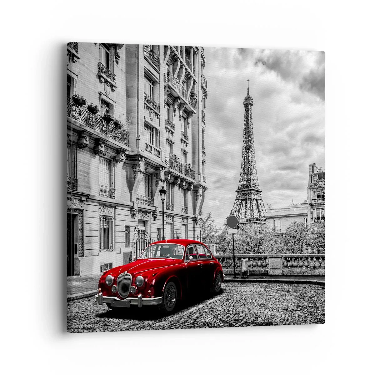 Schilderen op canvas - Roofdier in de stad - 40x40 cm