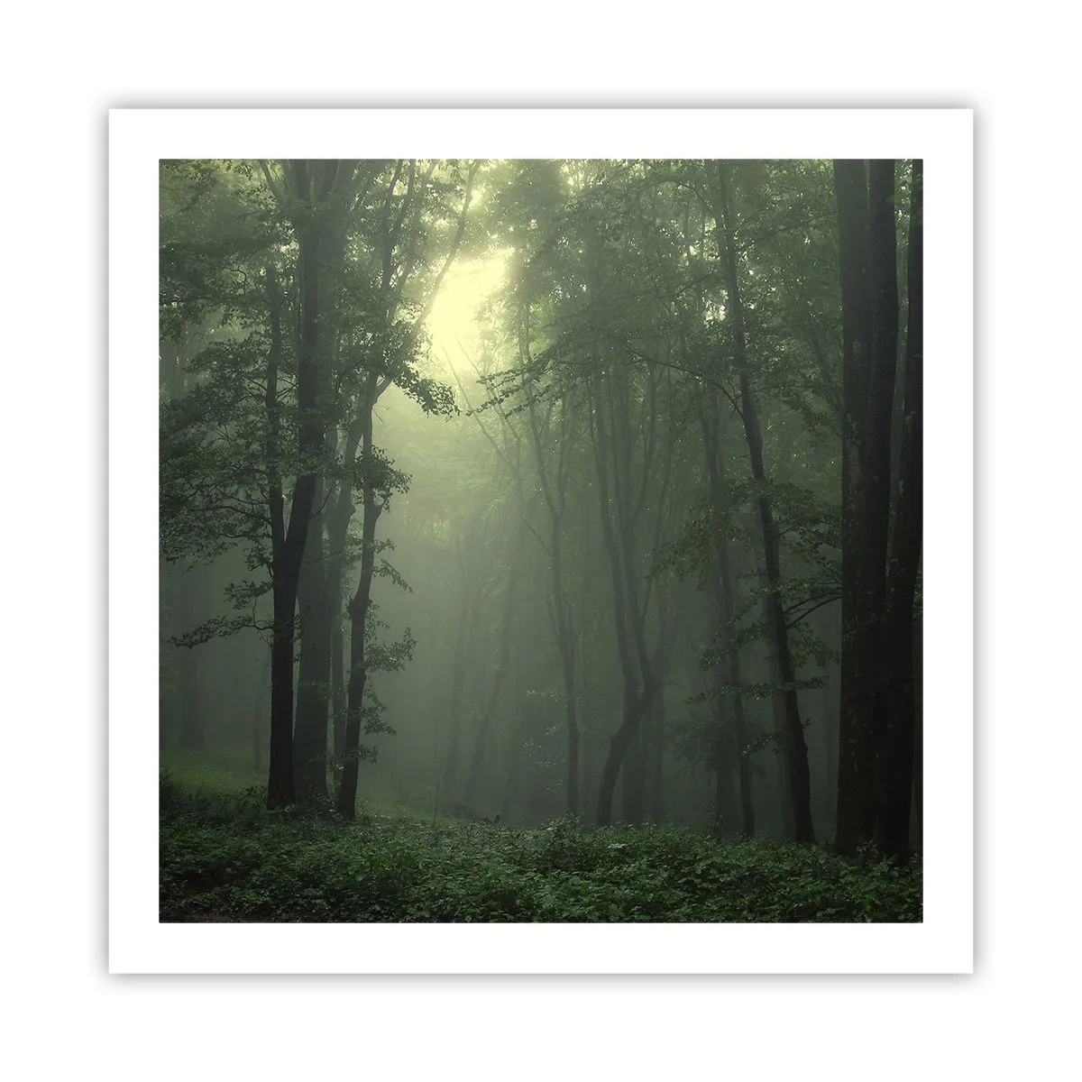 Poster - Voordat hij wakker wordt - 60x60 cm