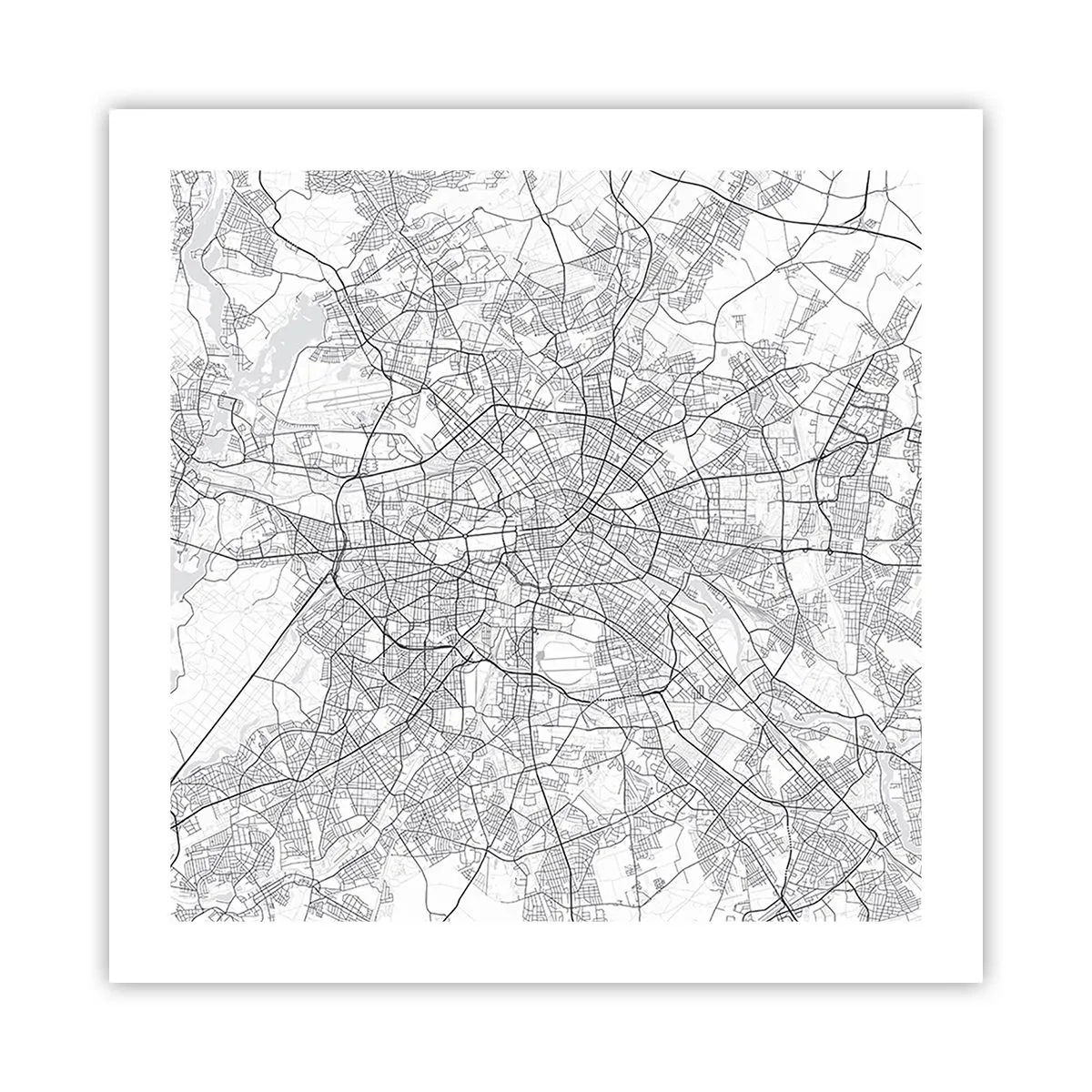 Poster - Berlijnse bloem - 50x50 cm