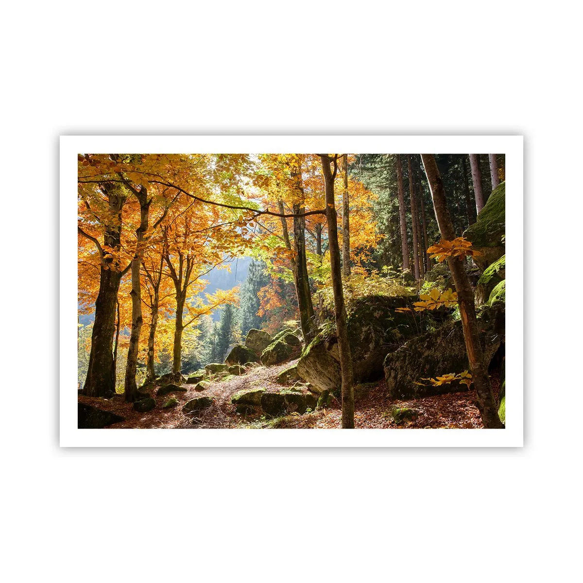 Poster - Tijd om te ontspannen - 91x61 cm