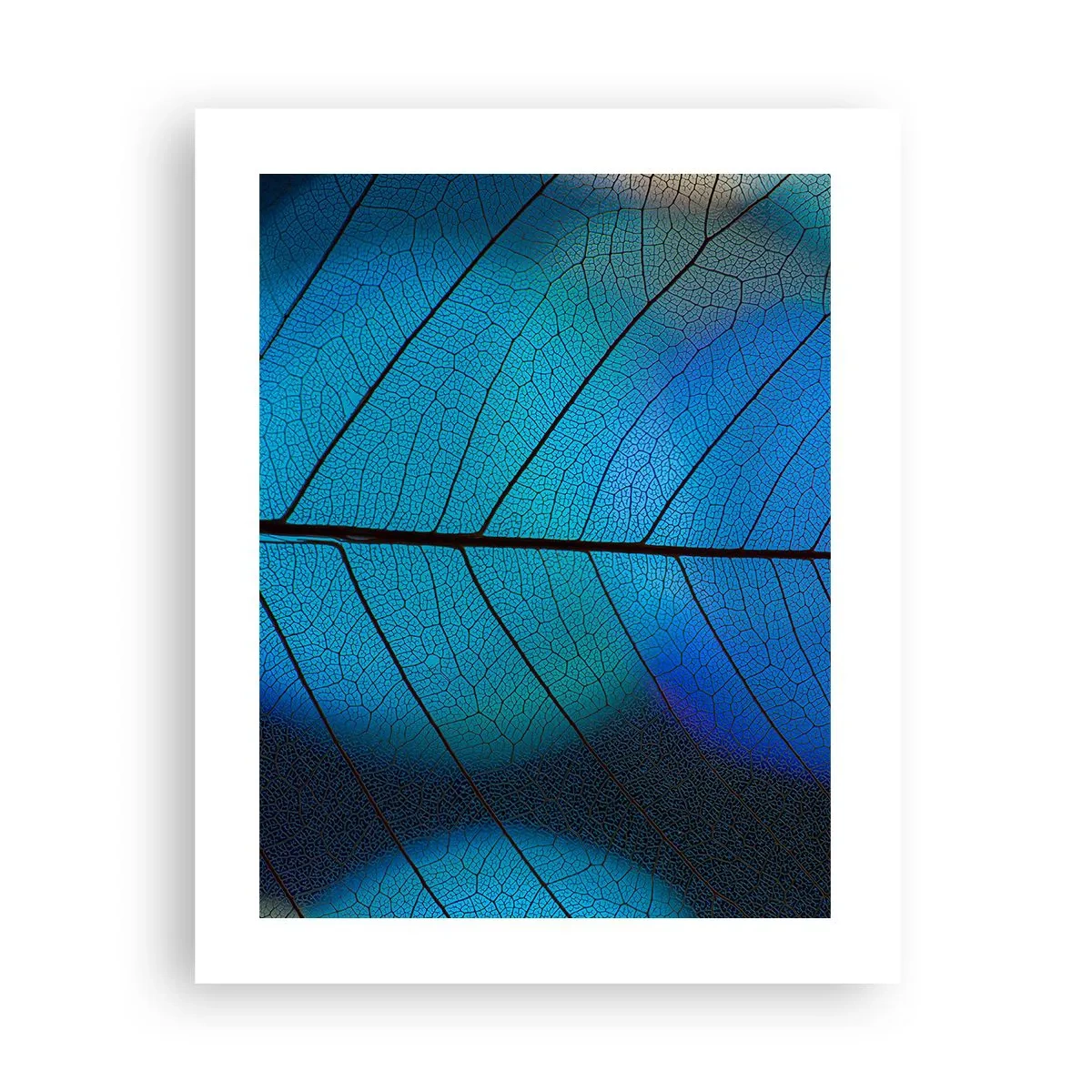 Poster - Ingewikkelde constructie - 40x50 cm