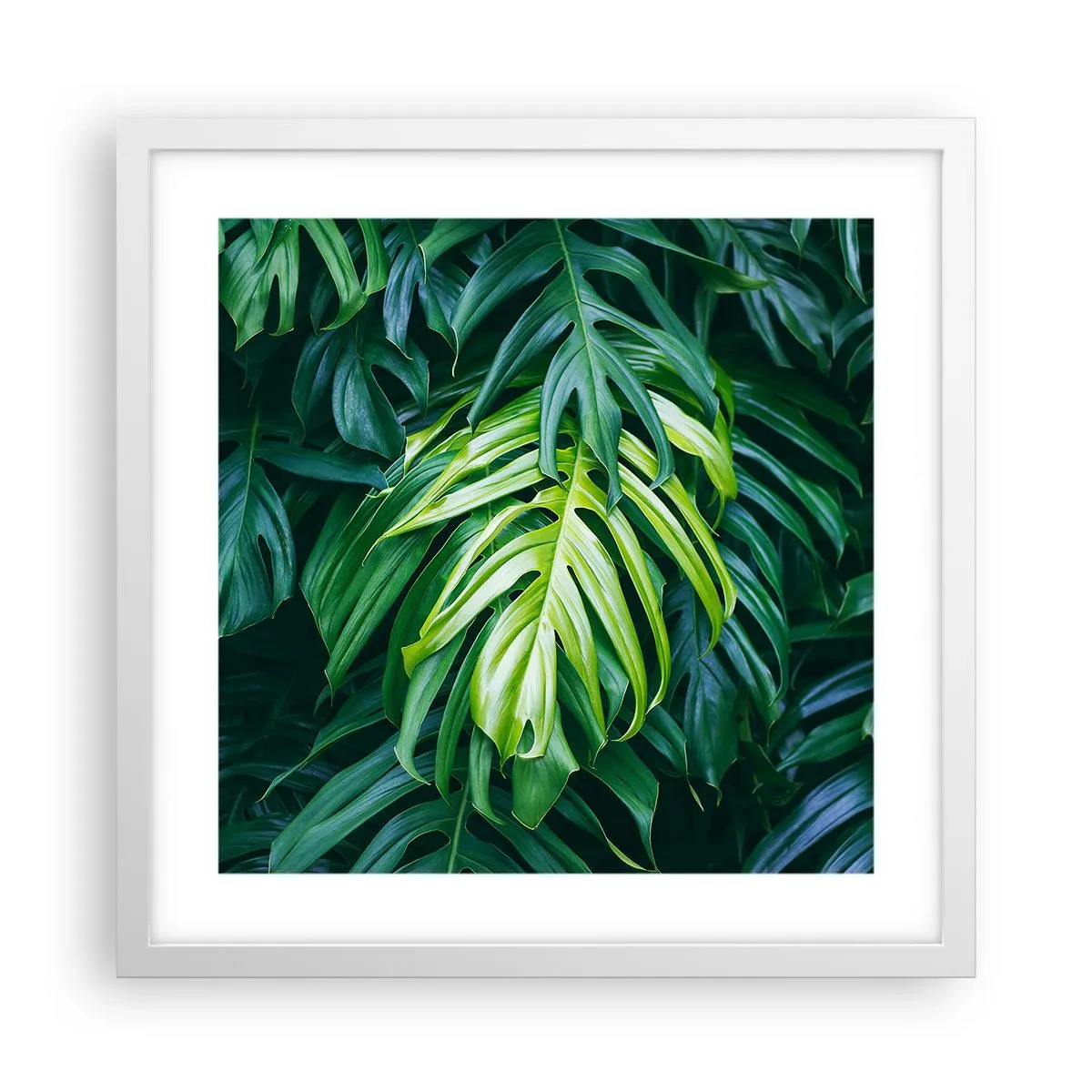 Poster in een witte lijst - Dompel jezelf onder in de frisheid - 40x40 cm