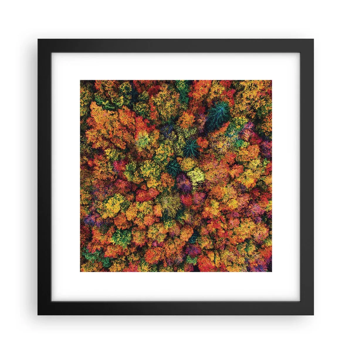 Poster in een zwarte lijst - Boeket herfstbomen - 30x30 cm