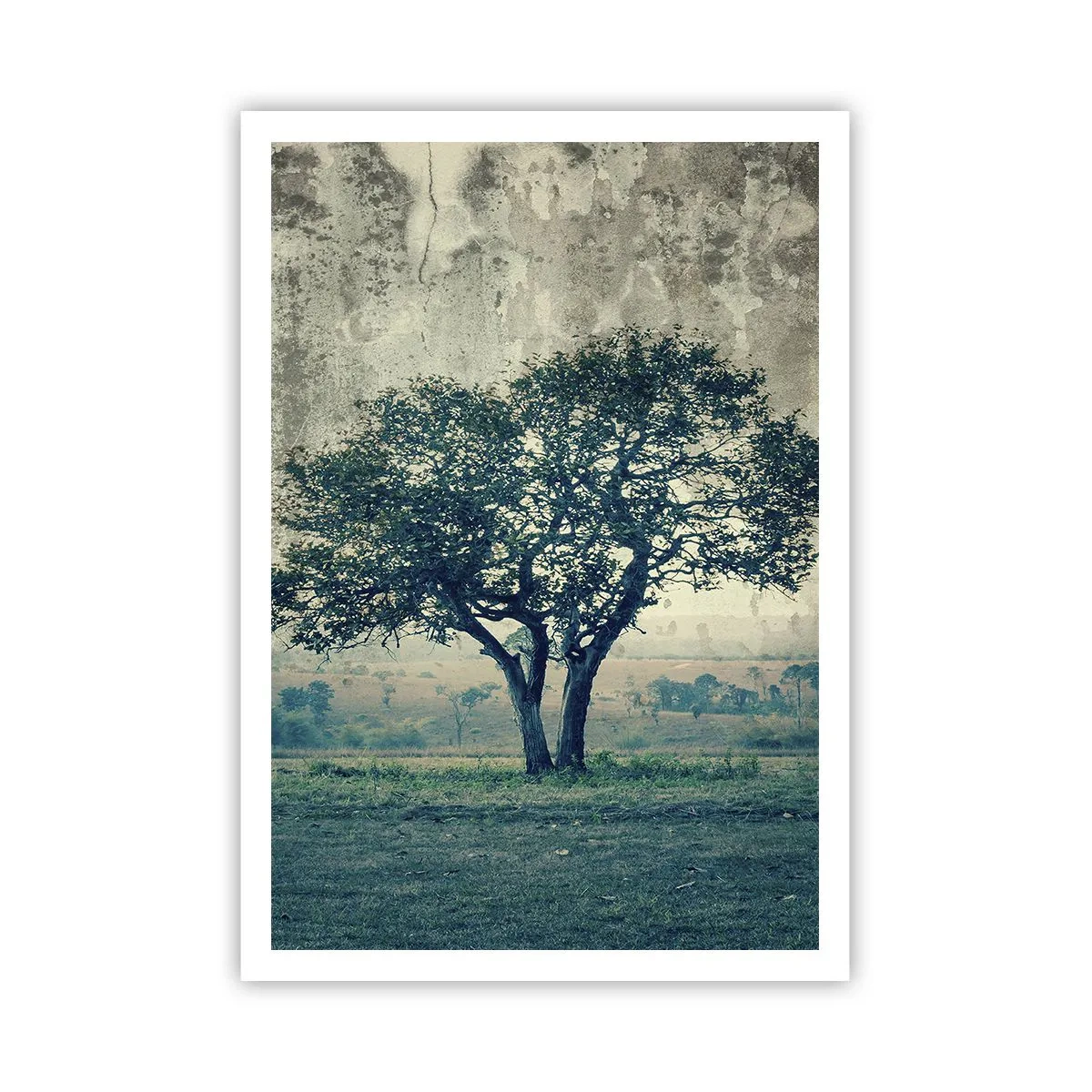 Poster - Een appelboom op een blauw veld? - 70x100 cm