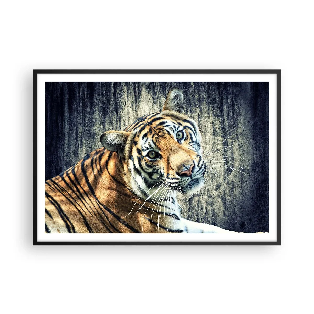 Poster in een zwarte lijst - Portret in stromen van licht - 100x70 cm