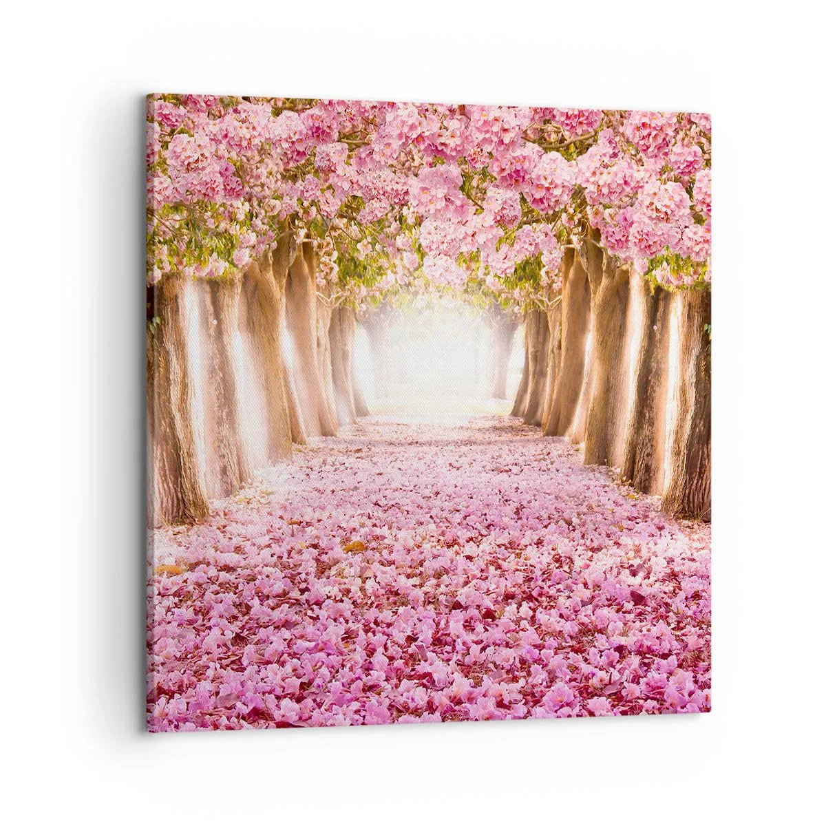 Schilderen op canvas - De weg naar het paradijs - 60x60 cm