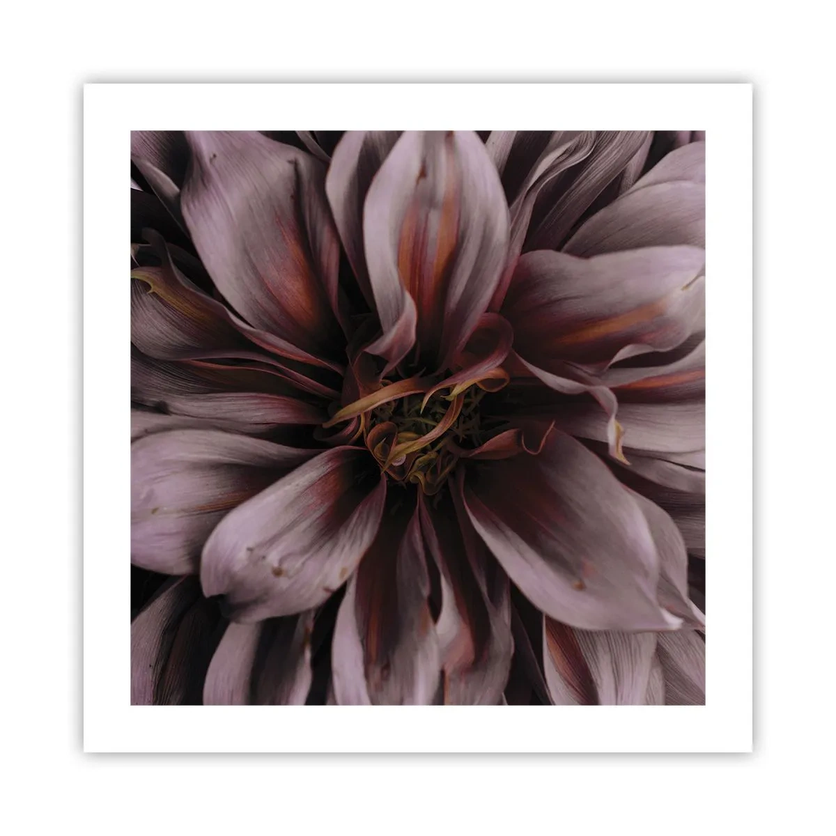 Poster - Een bloemenhart - 50x50 cm