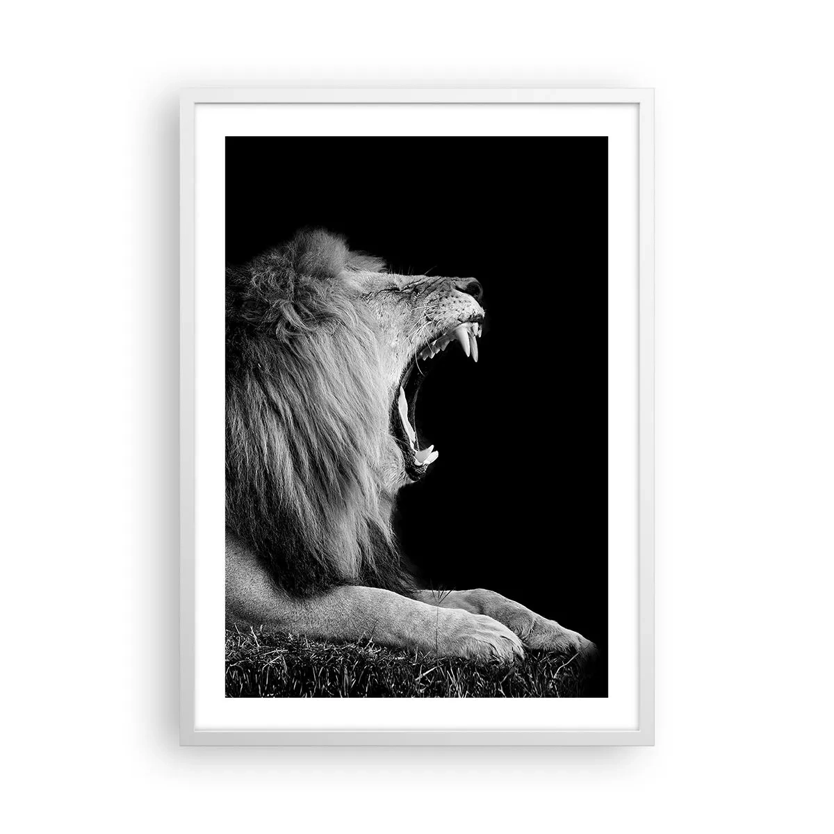 Poster in een witte lijst - Zonder enige twijfel - 50x70 cm