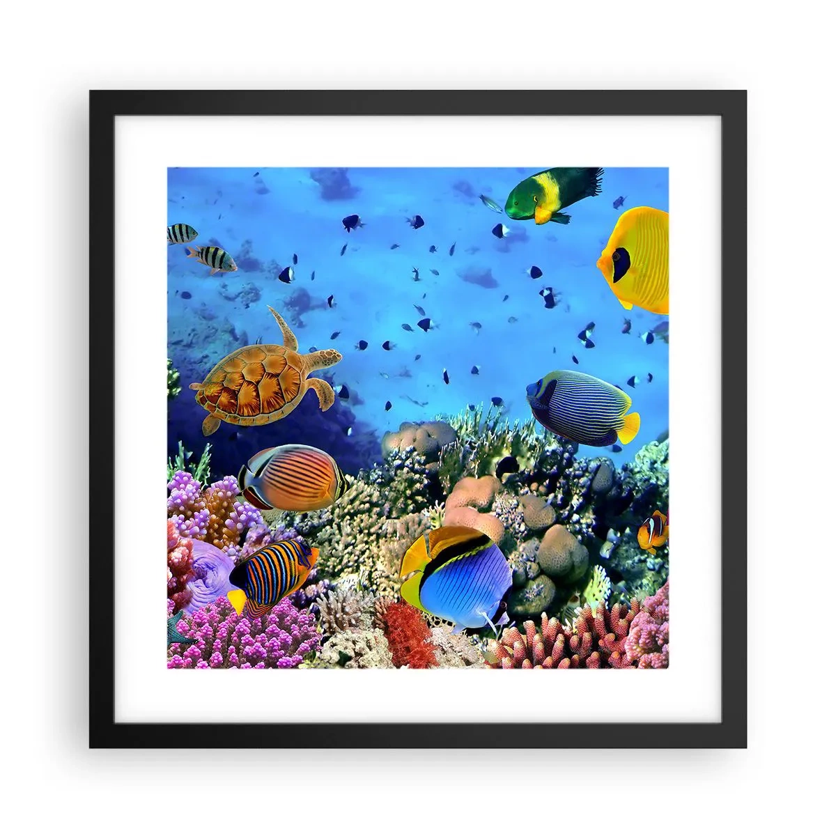 Poster in een zwarte lijst - En wat weten we over het leven... - 40x40 cm