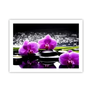 Poster - Verdrinken in rust en stilte  - 70x50 cm