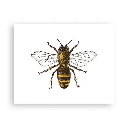 Poster - Mooi en goed - 50x40 cm