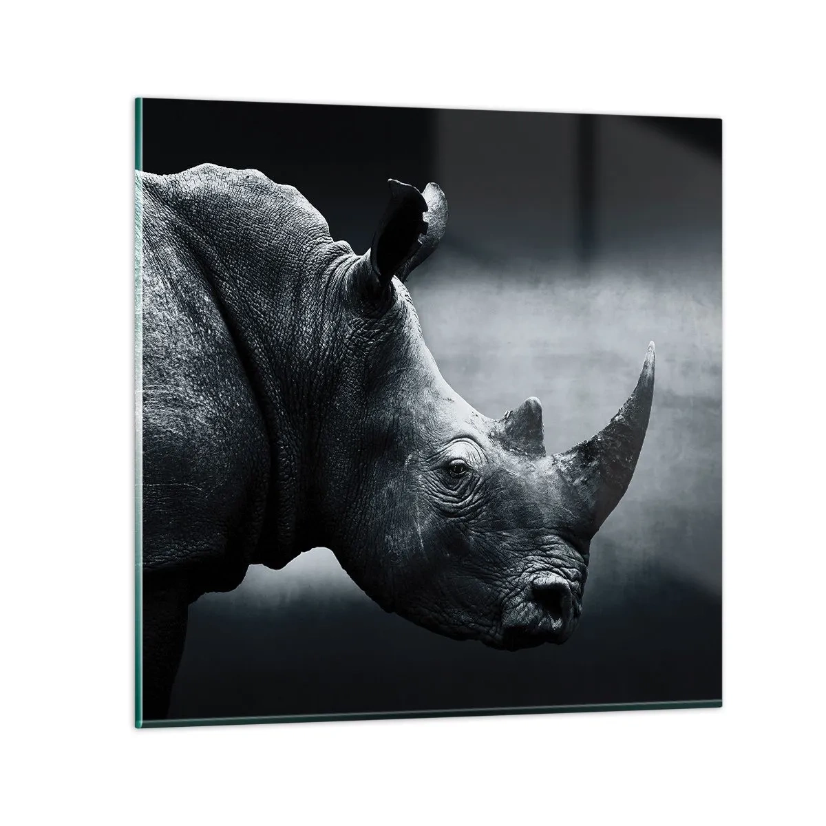 Schilderen op glas - Rechts profiel - 60x60 cm