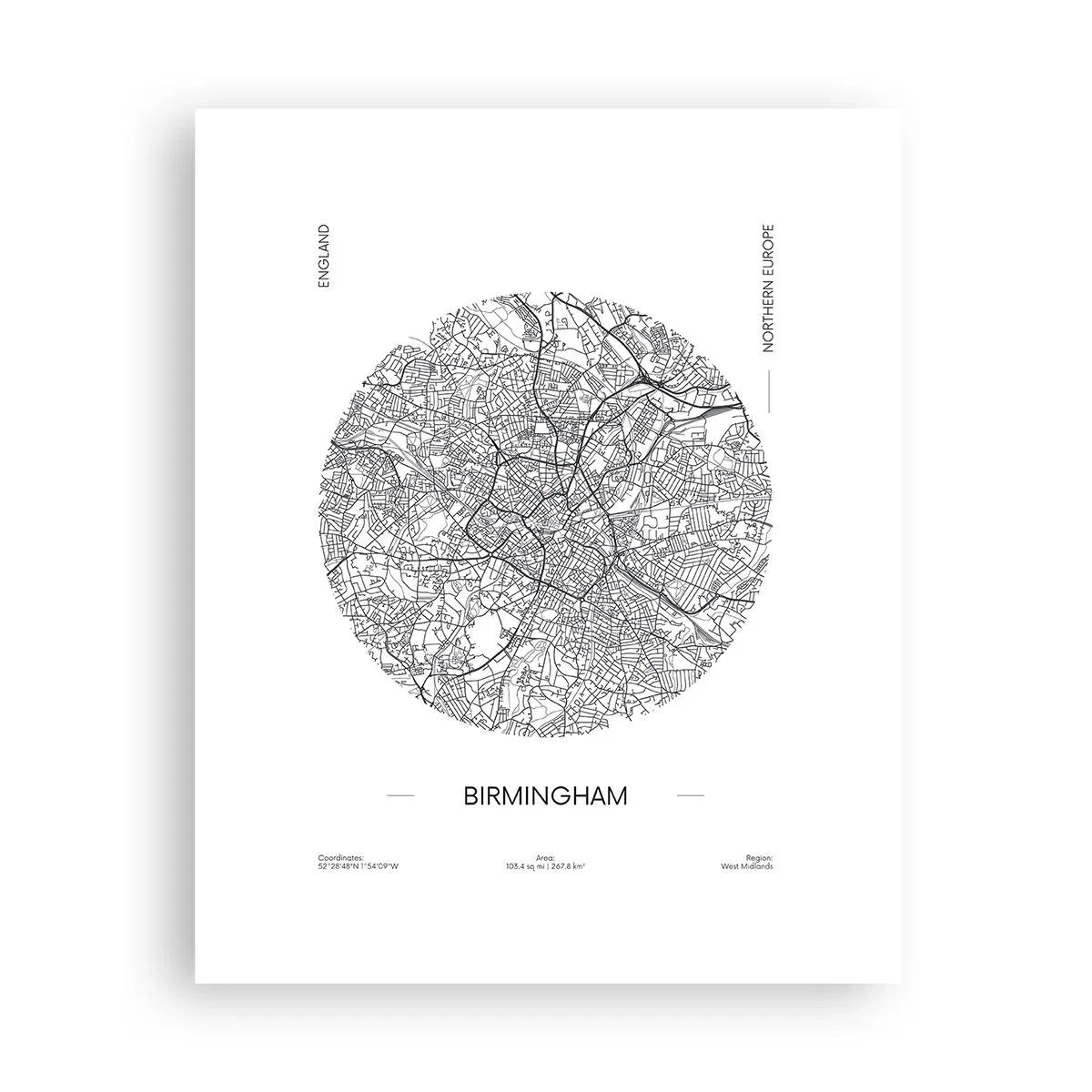 Poster - Anatomie van Birmingham - 40x50 cm