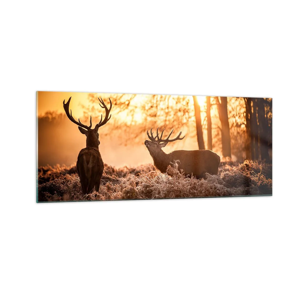 Schilderen op glas - De droom van een jager - 100x40 cm