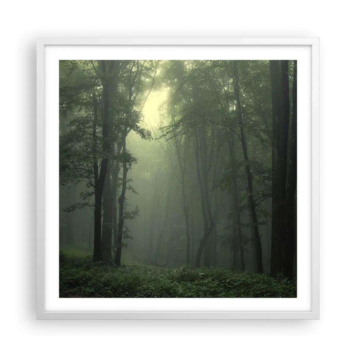 Poster in een witte lijst - Voordat hij wakker wordt - 60x60 cm