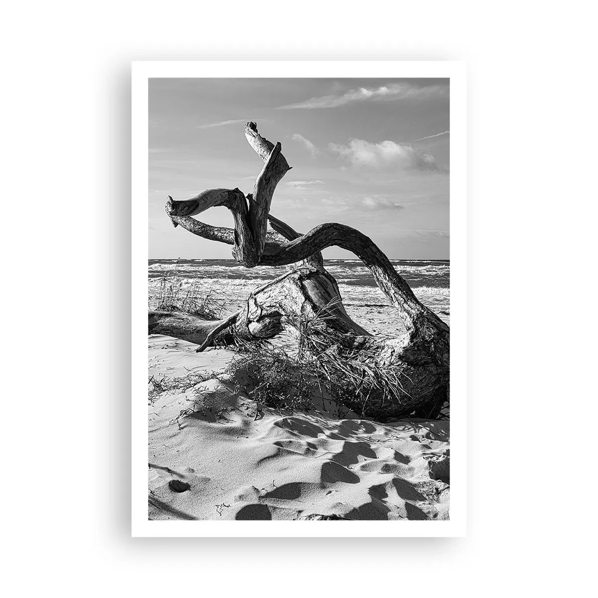 Poster - Zee sculptuur - 70x100 cm