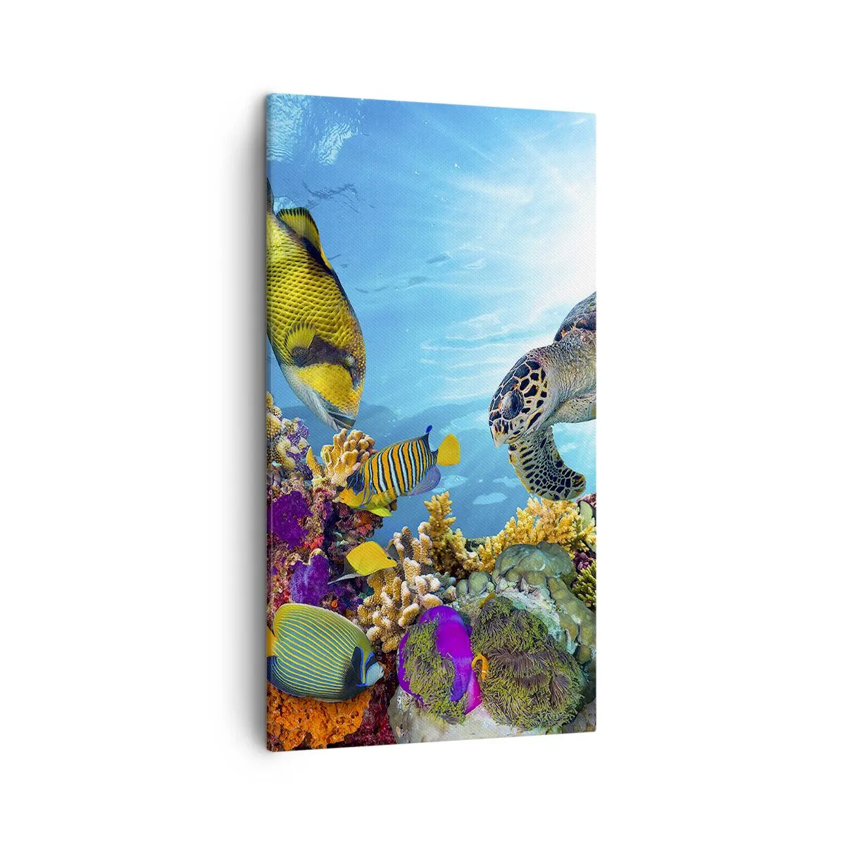 Schilderen op canvas - Koraalpromenade - 45x80 cm