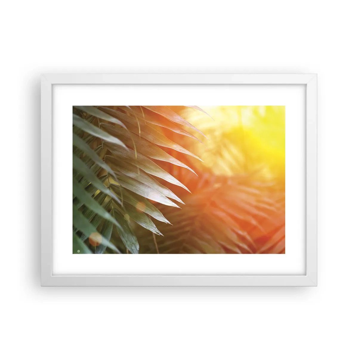 Poster in een witte lijst - Ochtend in de jungle - 40x30 cm