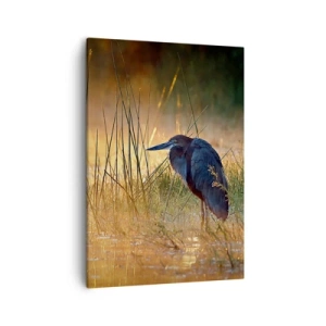 Schilderen op canvas - Kom op, geef me een pauze met deze foto's - 50x70 cm