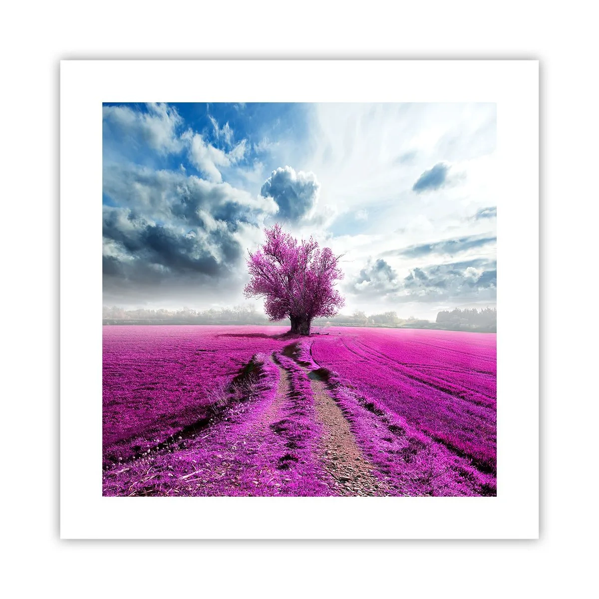 Poster - Heide - heilige plek - 40x40 cm