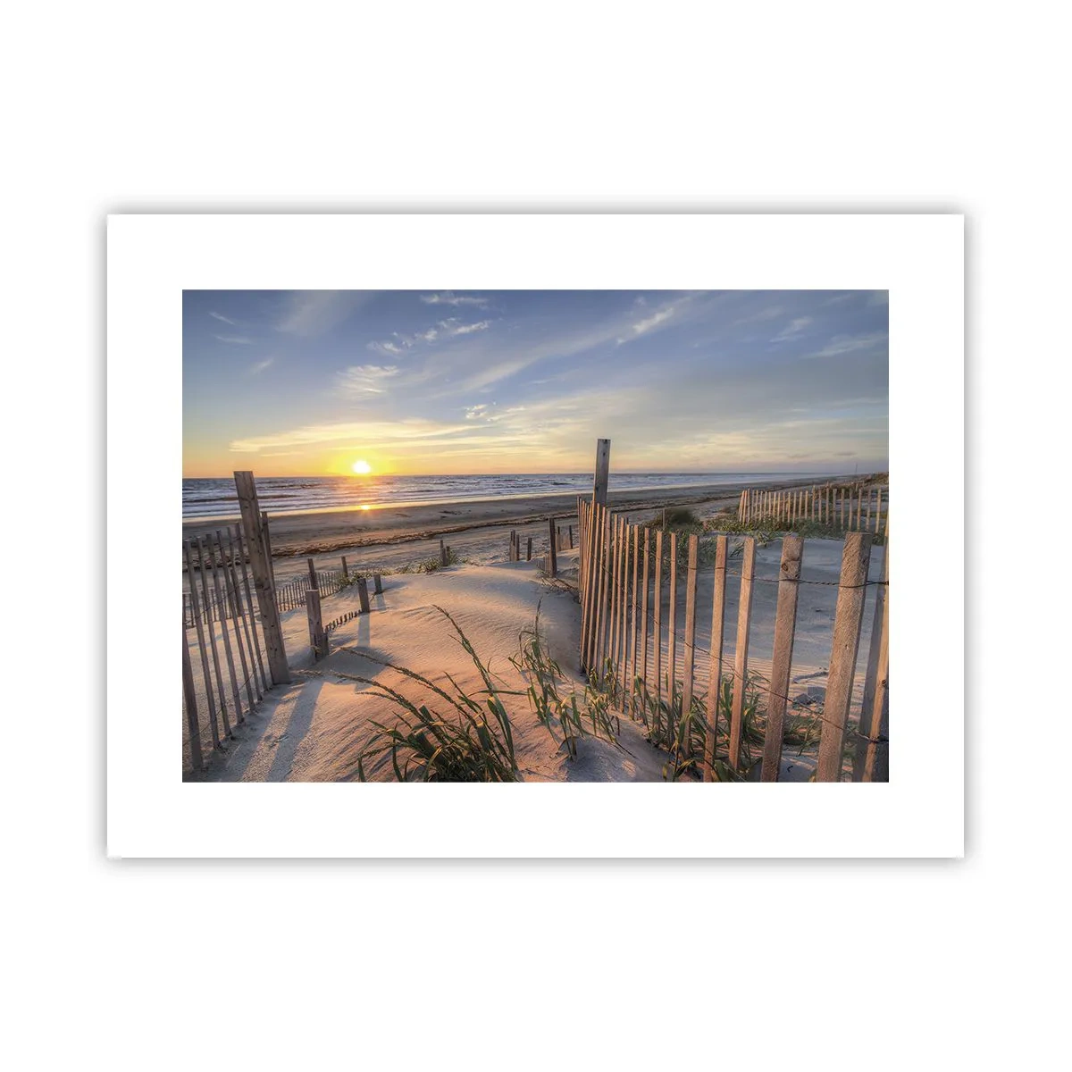 Poster - Glans en schaduw van de wind - 40x30 cm