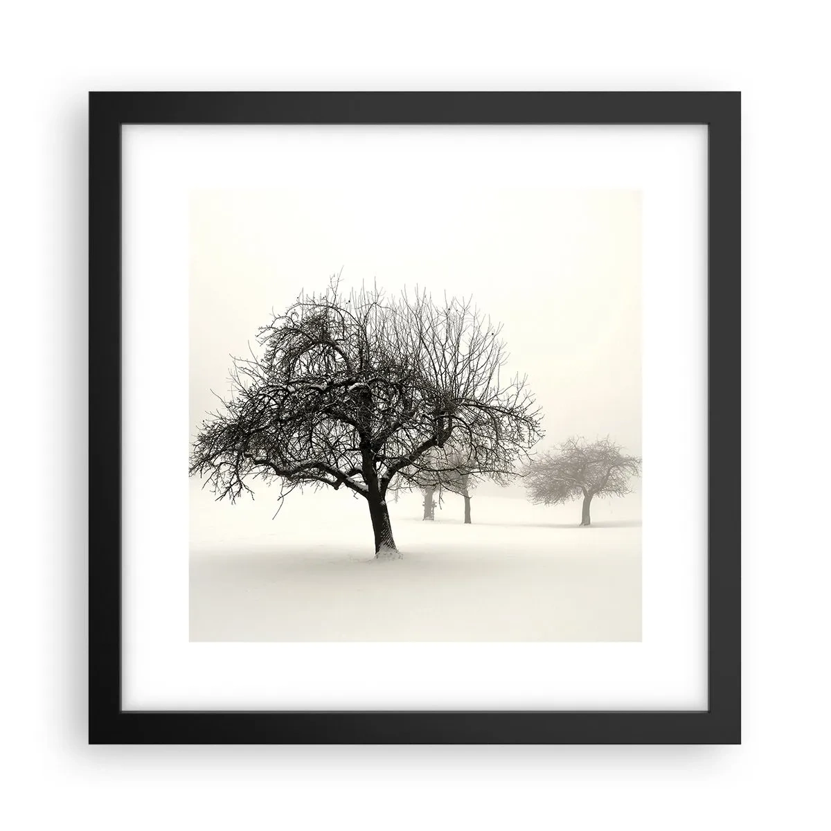 Poster in een zwarte lijst - Winterslaap - 30x30 cm