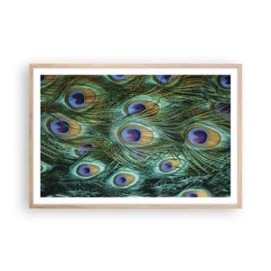 Een poster in een licht eiken lijst - Een pauwenooglook - 91x61 cm