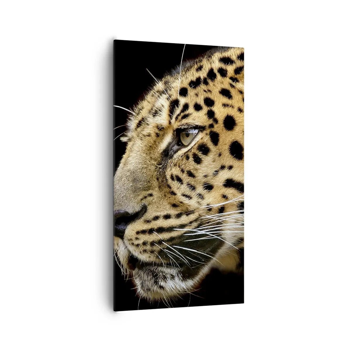 Schilderen op canvas - Rustig, gefocust, klaar - 65x120 cm