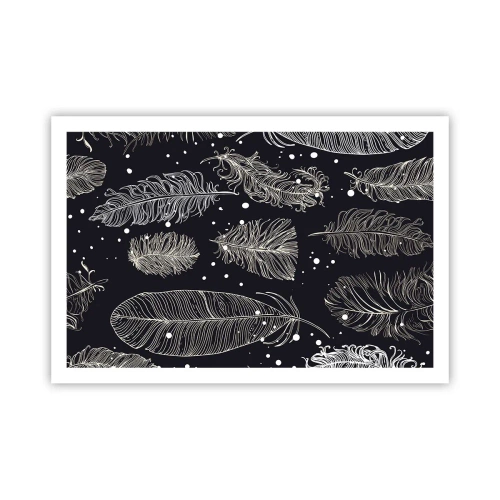 Poster - Gevederde kant - 91x61 cm