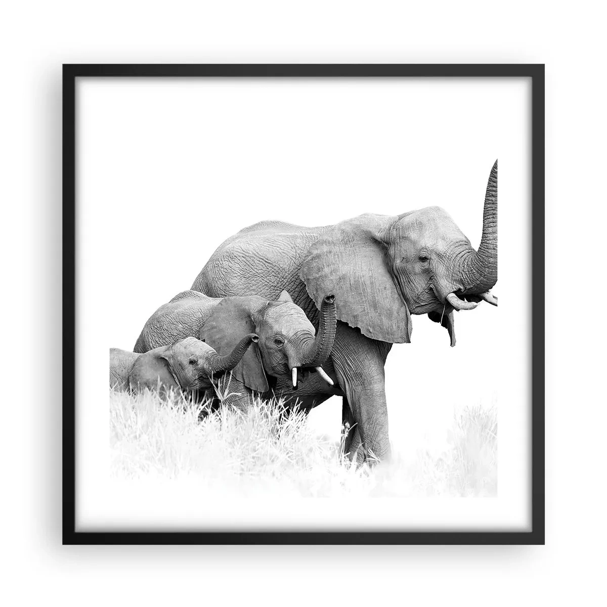 Poster in een zwarte lijst - Een twee drie - 50x50 cm