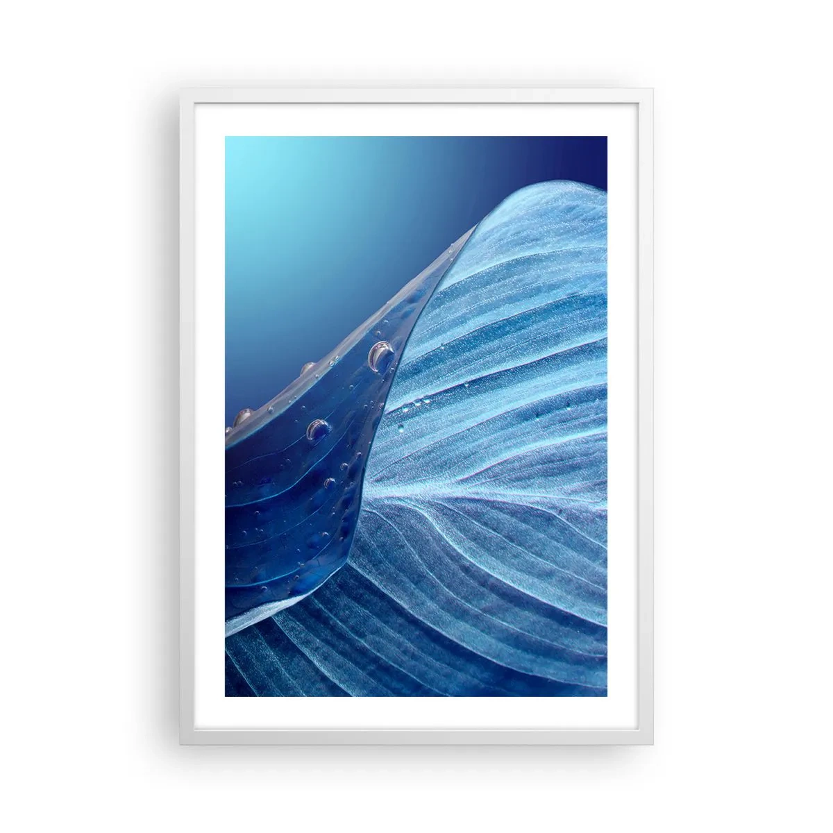 Poster in een witte lijst - Verborgen druppels blauw - 50x70 cm