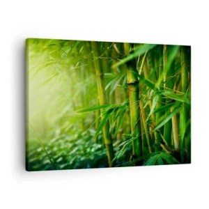Schilderen op canvas - Groen bamboebos in zacht licht - 70x50cm - Maak kennis met groen zelf - Moderne wanddecoratie voor woonkamer en slaapkamer ARTTOR