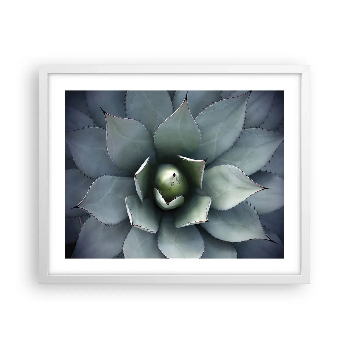 Poster in een witte lijst - Het trekt aan en waarschuwt - 50x40 cm