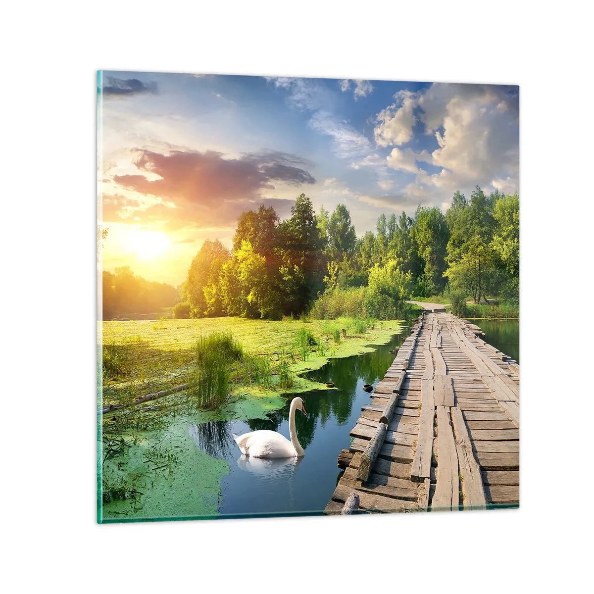 Schilderen op glas - Zomer, zomer overal - 60x60 cm