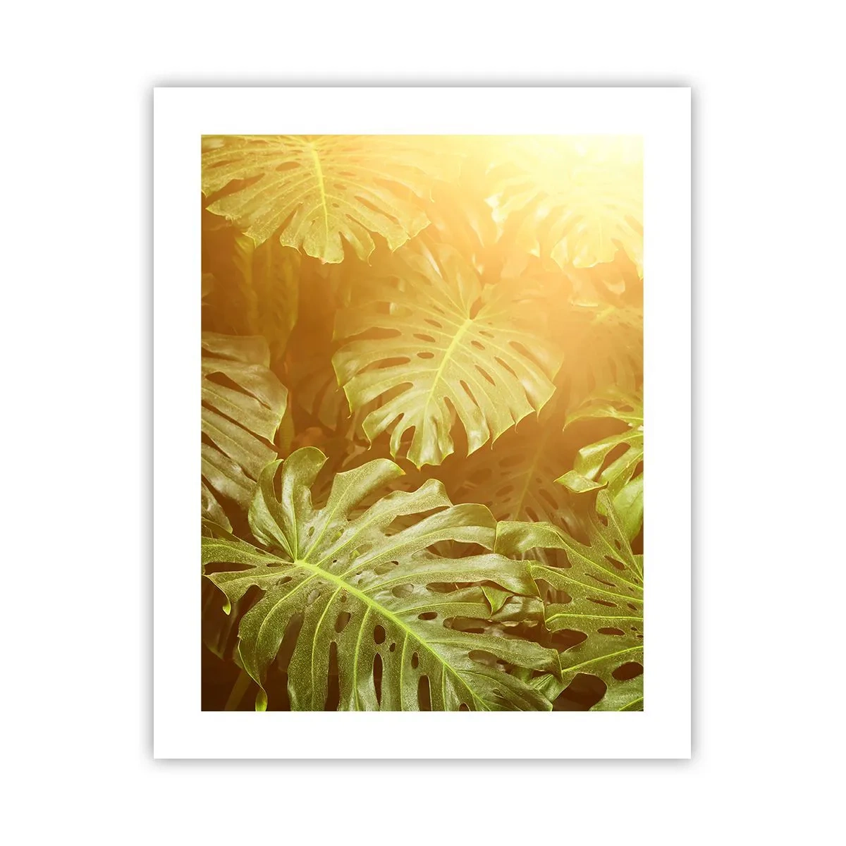 Poster - In het groen treden... - 40x50 cm