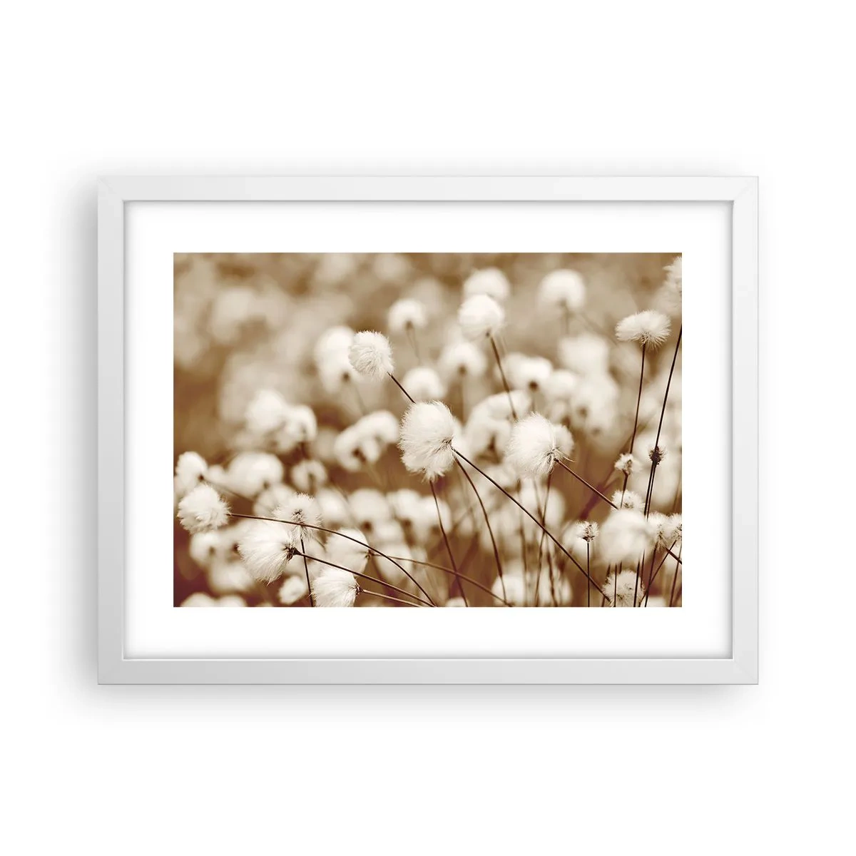 Poster in een witte lijst - Pluizig korenveld - 40x30 cm