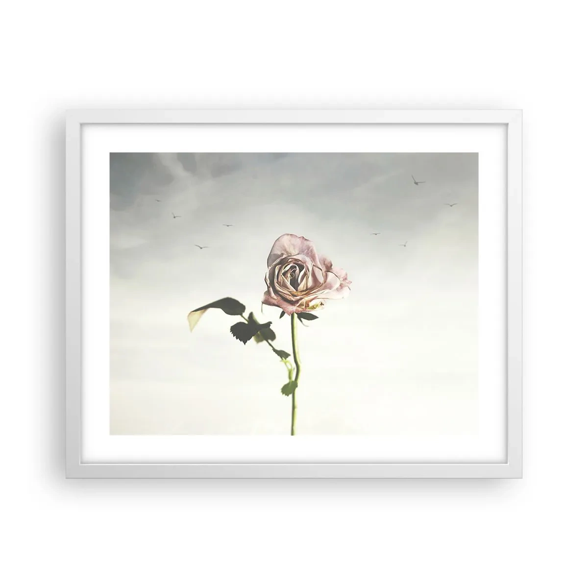 Poster in een witte lijst - Begroeting van de lente - 50x40 cm