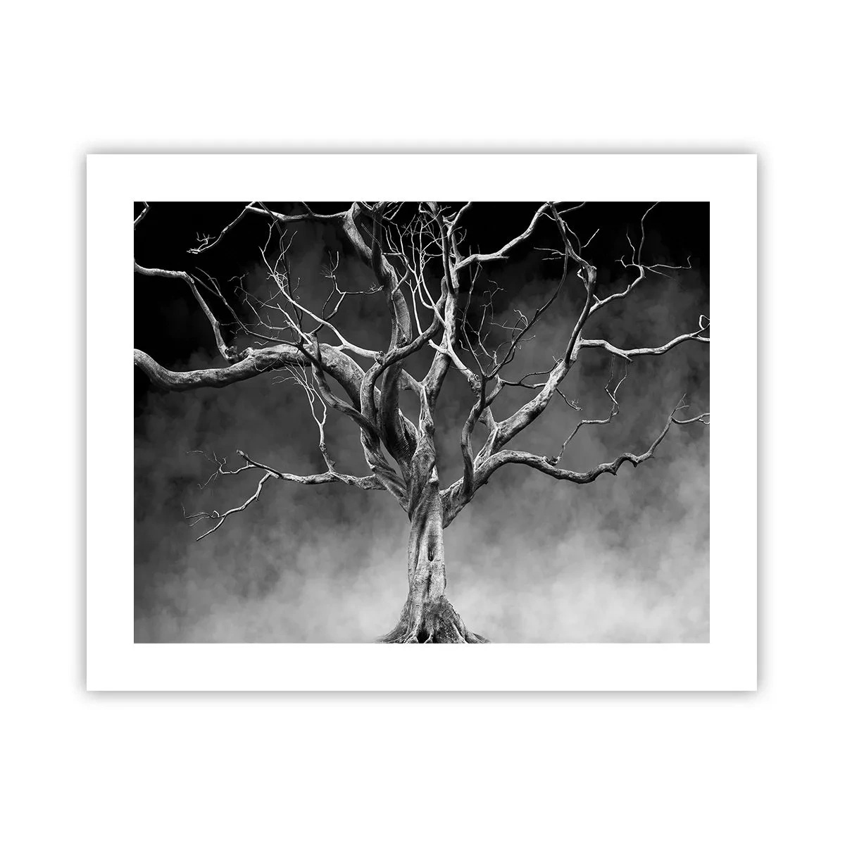 Poster - Oorspronkelijk en heilig - 50x40 cm