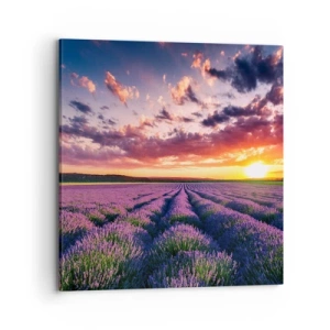 Schilderen op canvas - Lavendel wereld - 70x70 cm