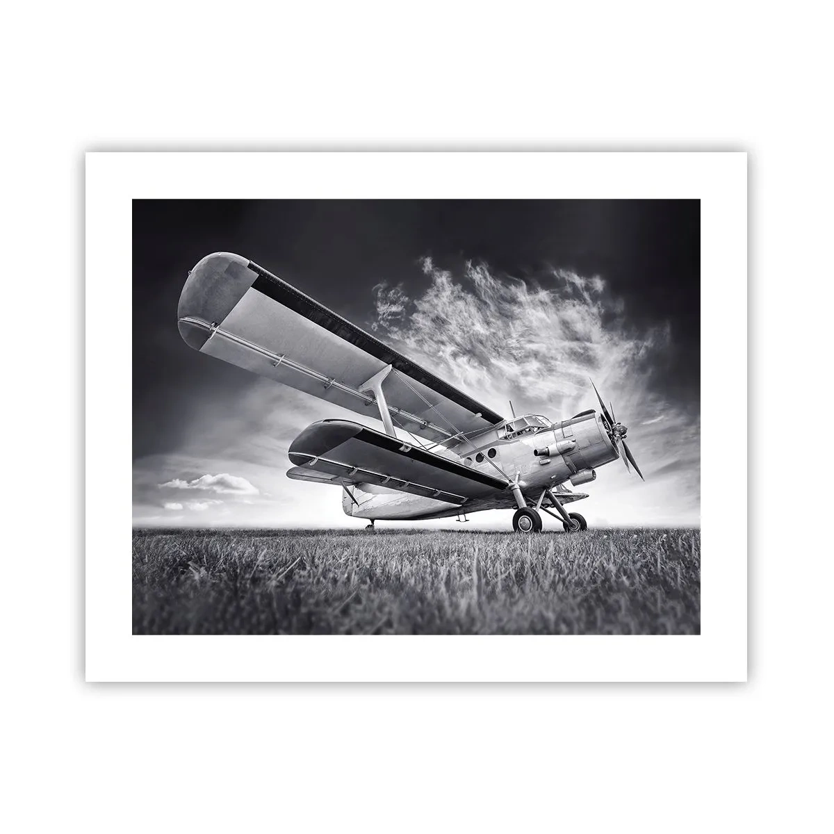 Poster - De gevleugelde zwerver - 50x40 cm