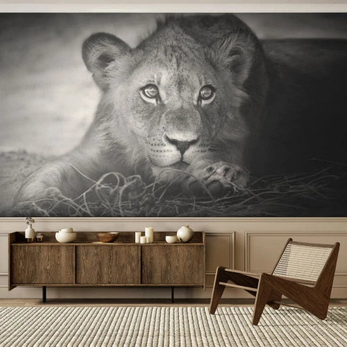 Zelfklevend Fotobehang Deluxe Sticker - Koninklijke puppy - Dieren, Leeuw, Zwart en wit - 250x175 cm
