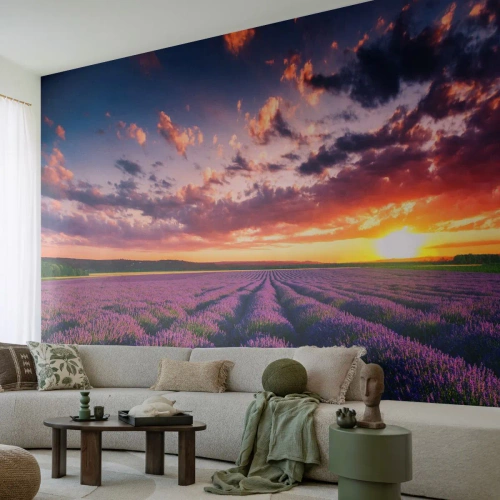 Fotobehang Premium Sand - Lavendel wereld - Landschap, Lavendelveld, Lavendel - 100x70 cm