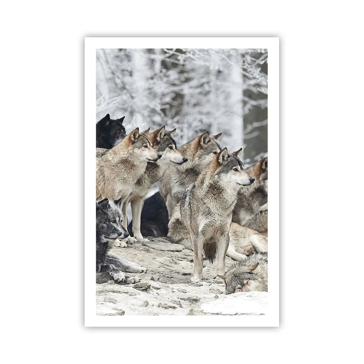 Poster - Familie en vrienden - 61x91 cm