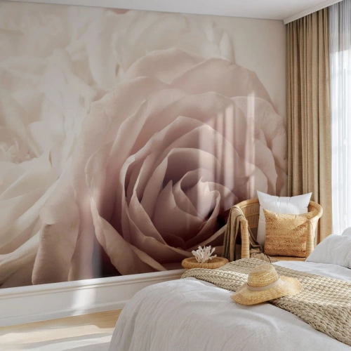Fotobehang Premium Sand - In het hart van een roos - Rozen, Bloemen, Romantisch - 100x70 cm