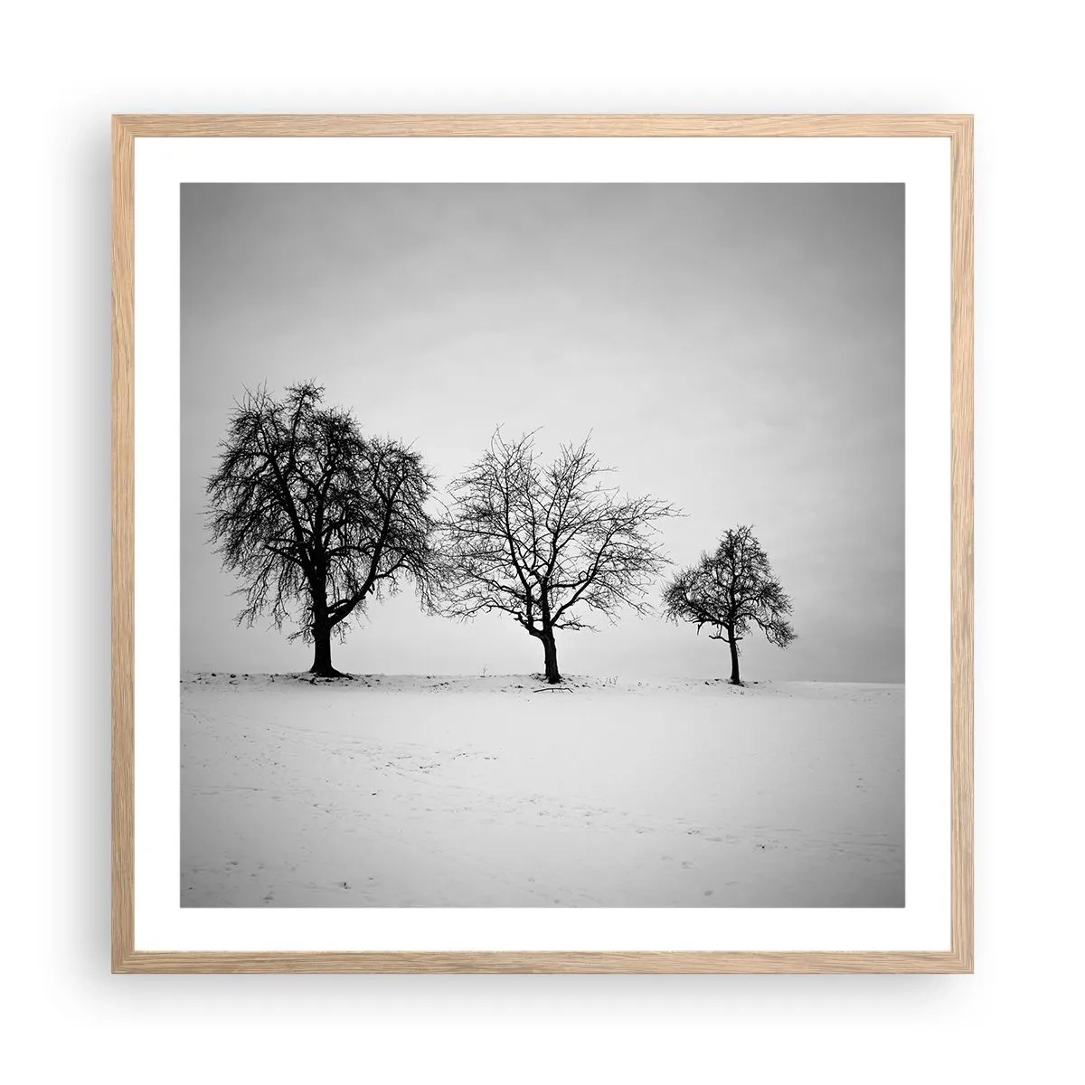 Een poster in een licht eiken lijst - Waar dromen ze over? - 60x60 cm