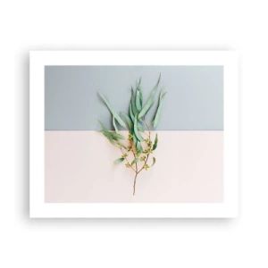 Poster - Subtiliteit in pastelkleuren - 50x40 cm