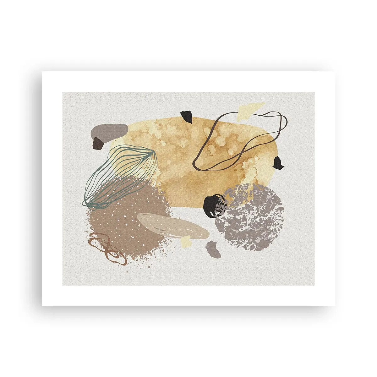 Poster - Toegepaste plumcologie - 50x40 cm