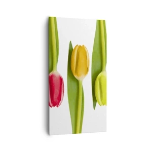Schilderen op canvas - Regenboog compositie - 55x100 cm