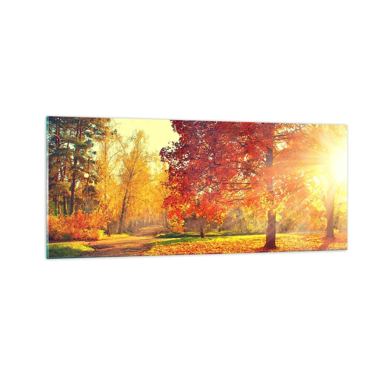 Schilderen op glas - Rood is mooi - 100x40 cm