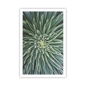 Poster - Een ster is geboren - 61x91 cm